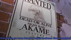 Akame_ga_Kill_-1