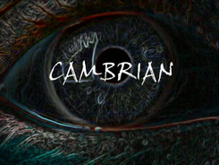 Cambrian_-1